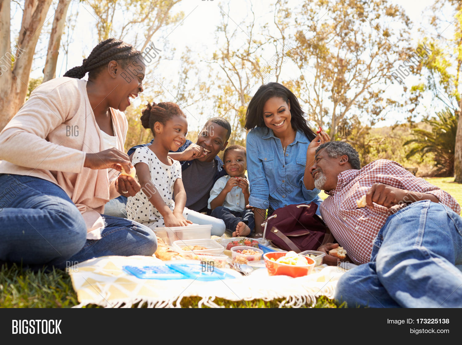 multi generation family enjoying picnic in park together