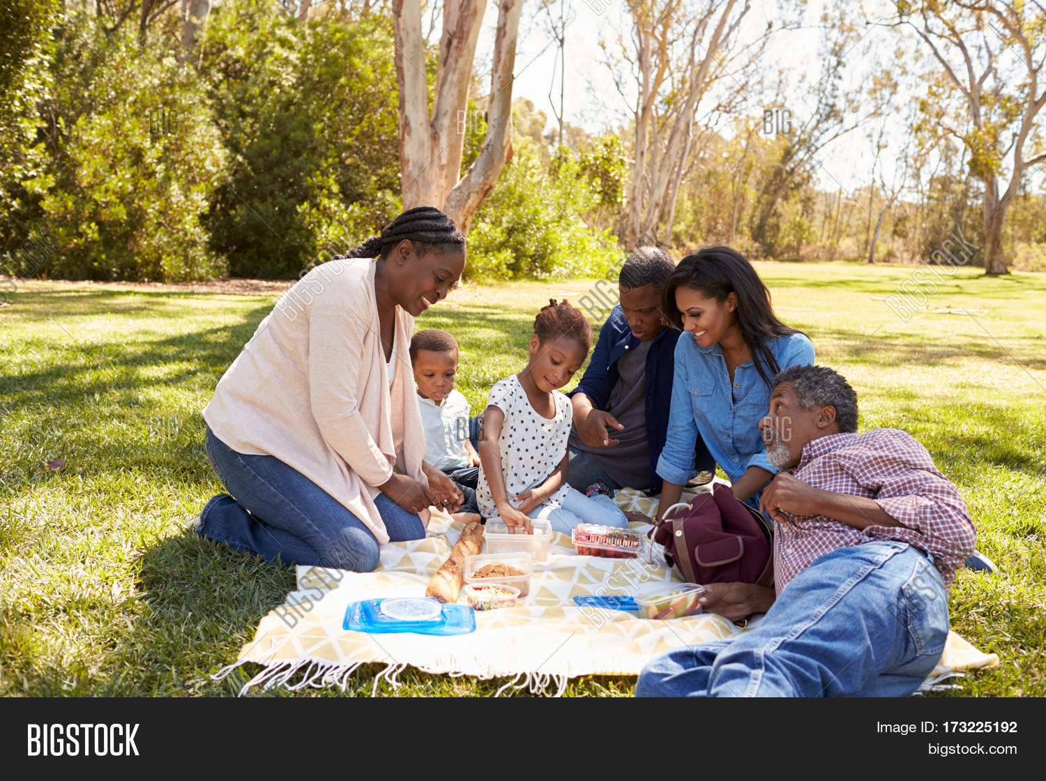 multi generation family enjoying picnic in park together