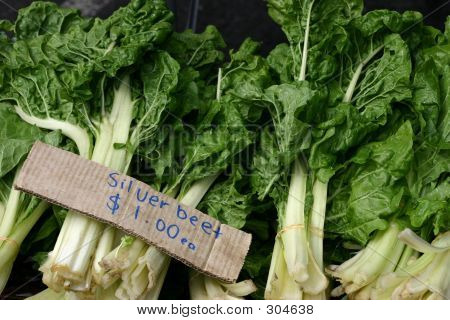 新鲜silverbeet / 菠菜