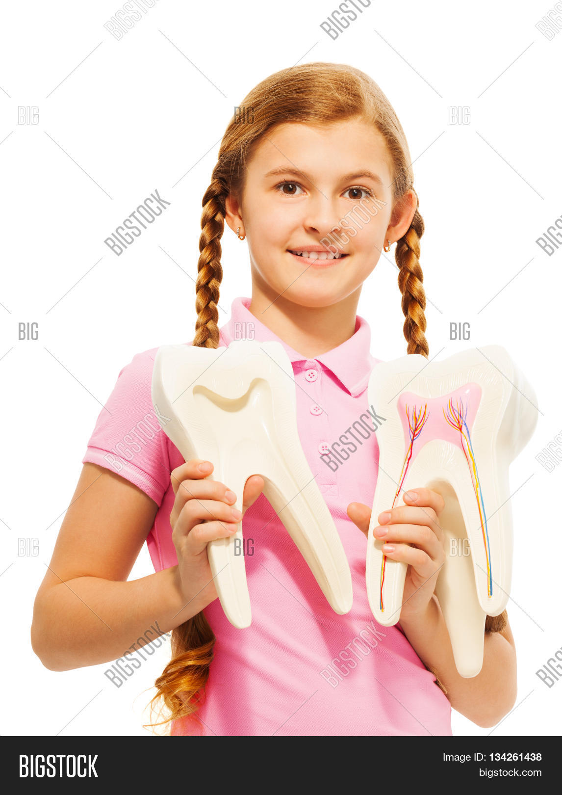 young 13 years old girl studying structure of the tooth