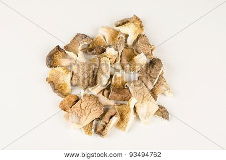 oyster mushrooms