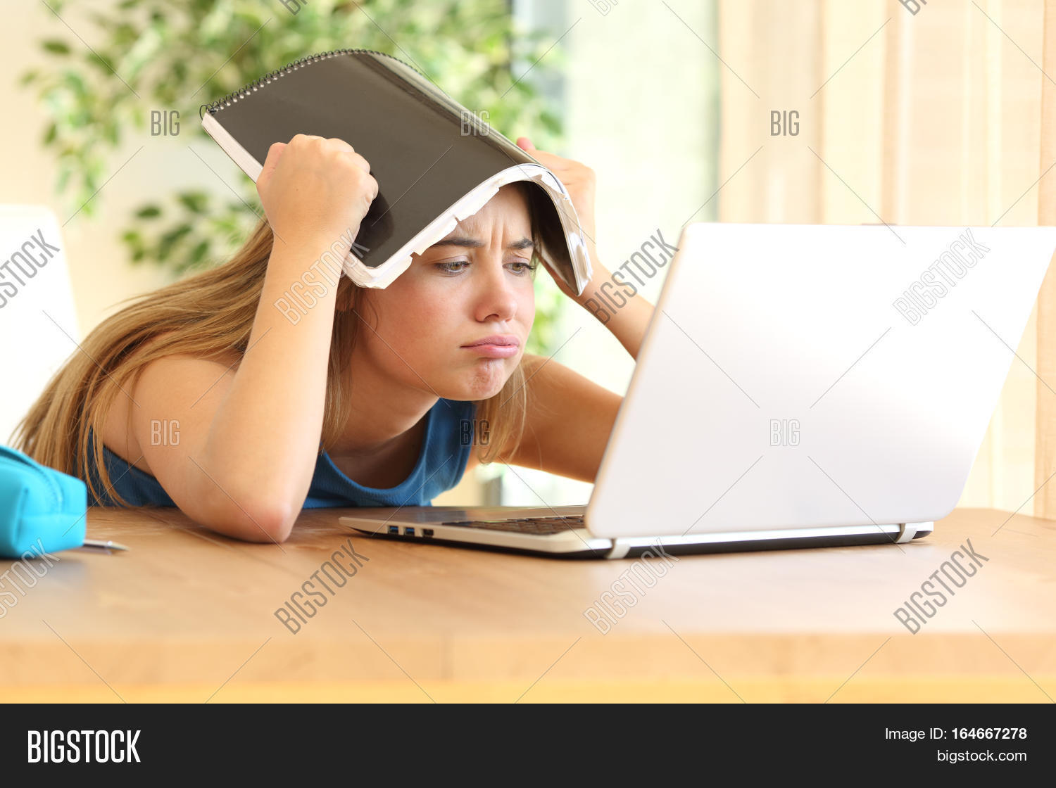 on line with a laptop blowing with a notebook on the head in a