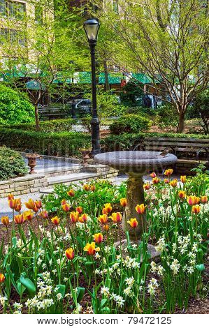 保存 下载预览 a spring garden in tudor city greens a small park