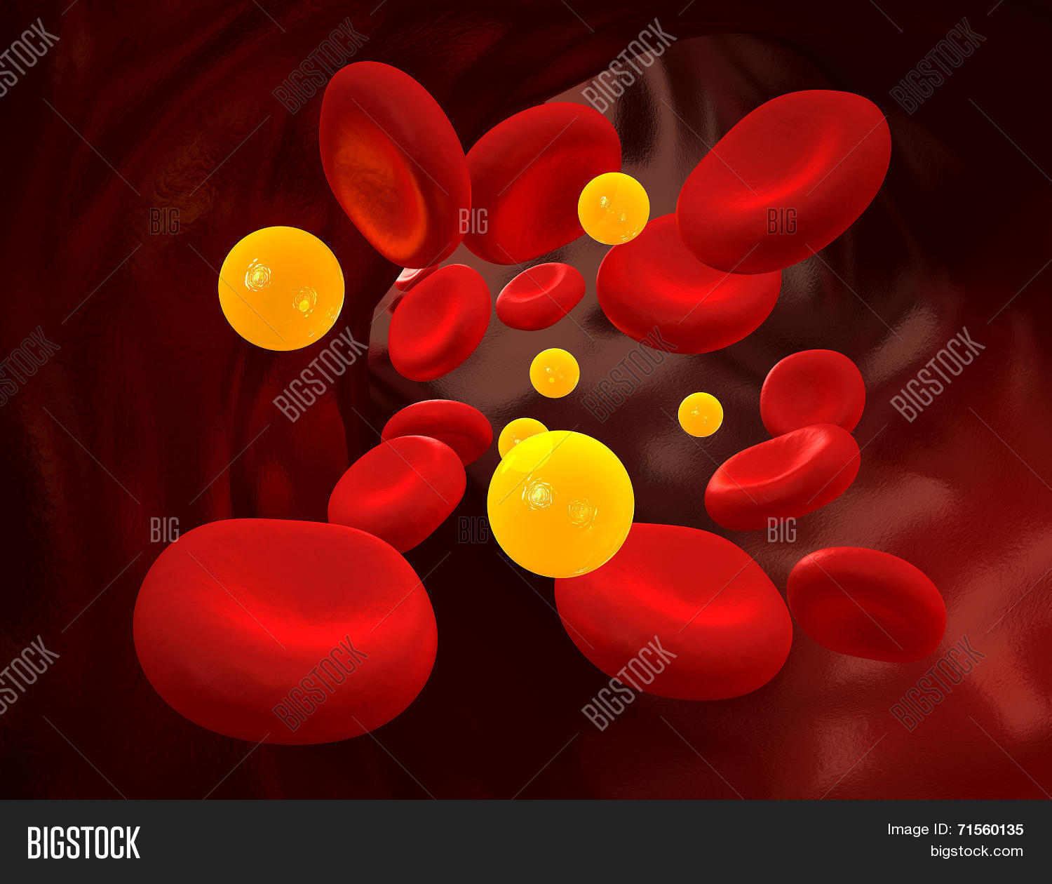 cholesterol / diabetes - blood stream - human