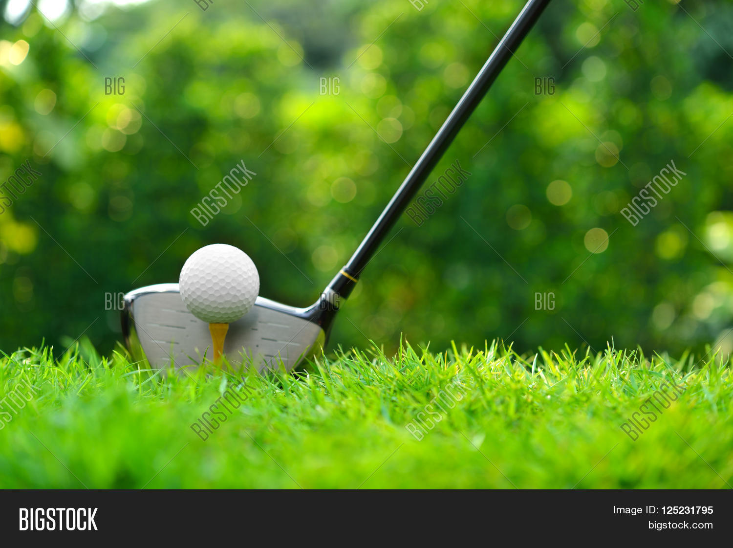 golf ball on green grass ready to be struck on golf course back