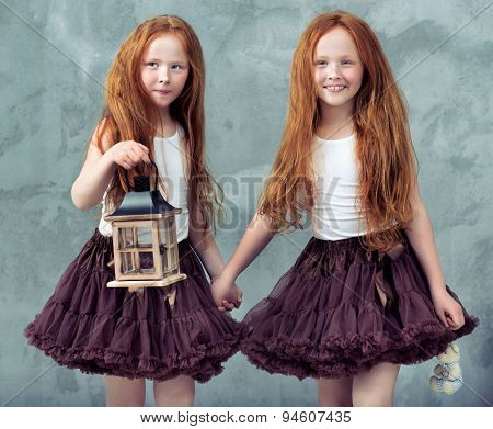 two beautiful twin sisters