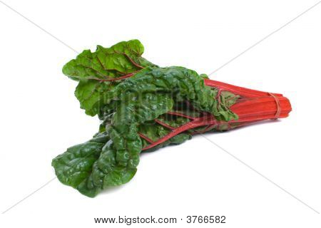 群的silverbeet 被隔绝在白色背景