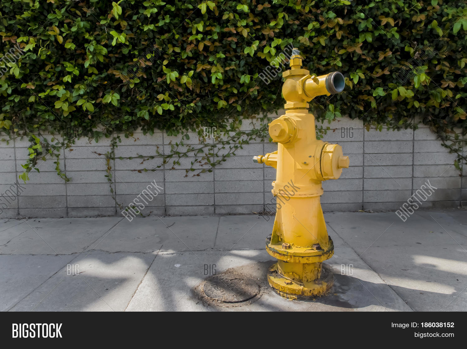 a yellow fire hydrant in an urban environment.