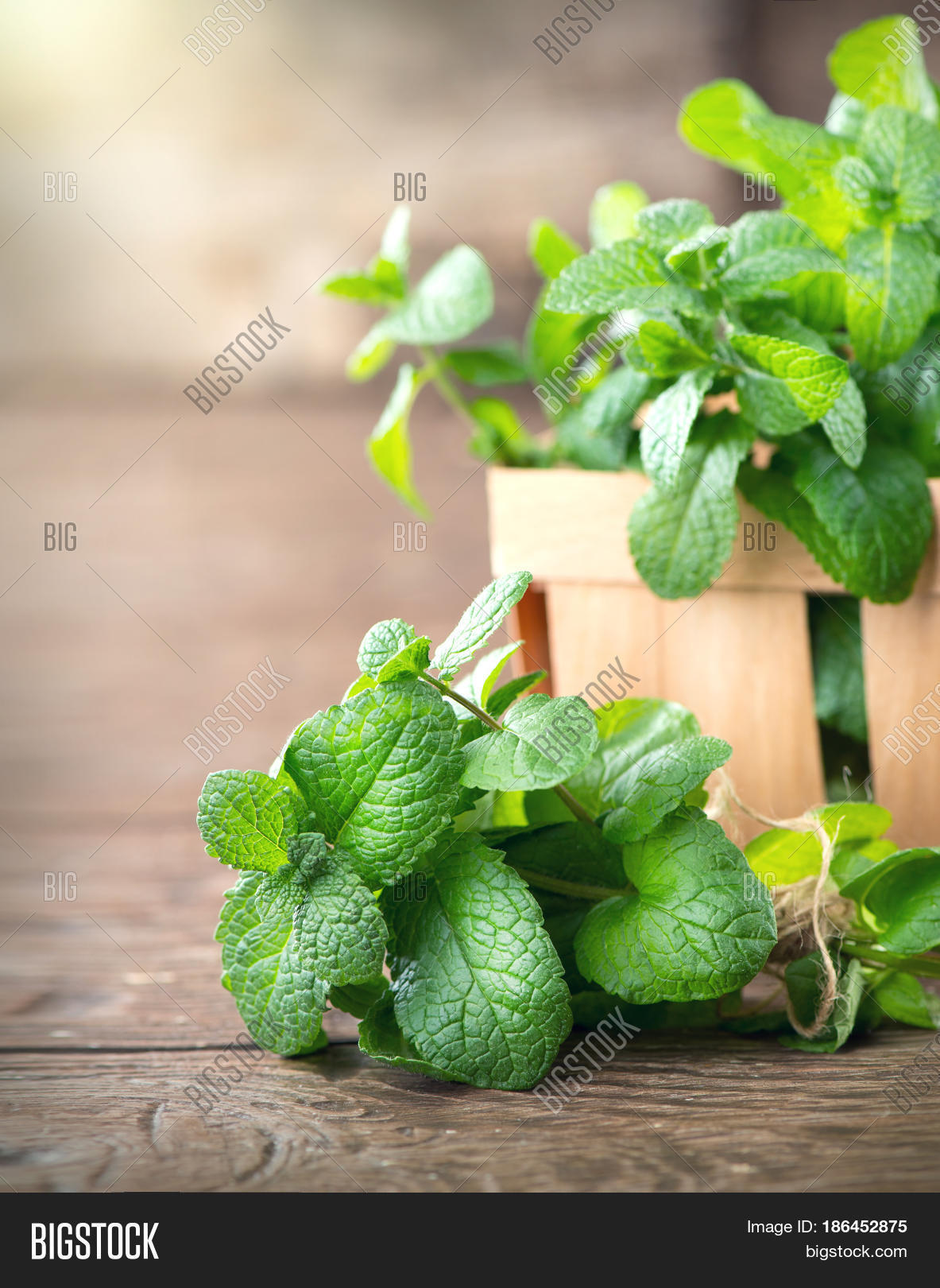 bunch of fresh green organic mint leaf on wooden table closep..