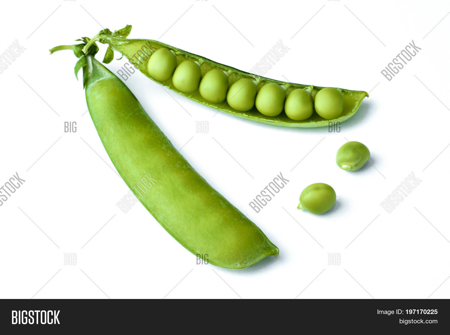 two pods of green sweet peas isolated on white