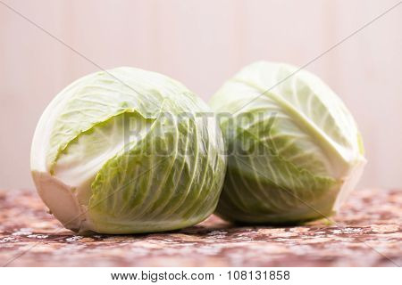 two white headed cabbage