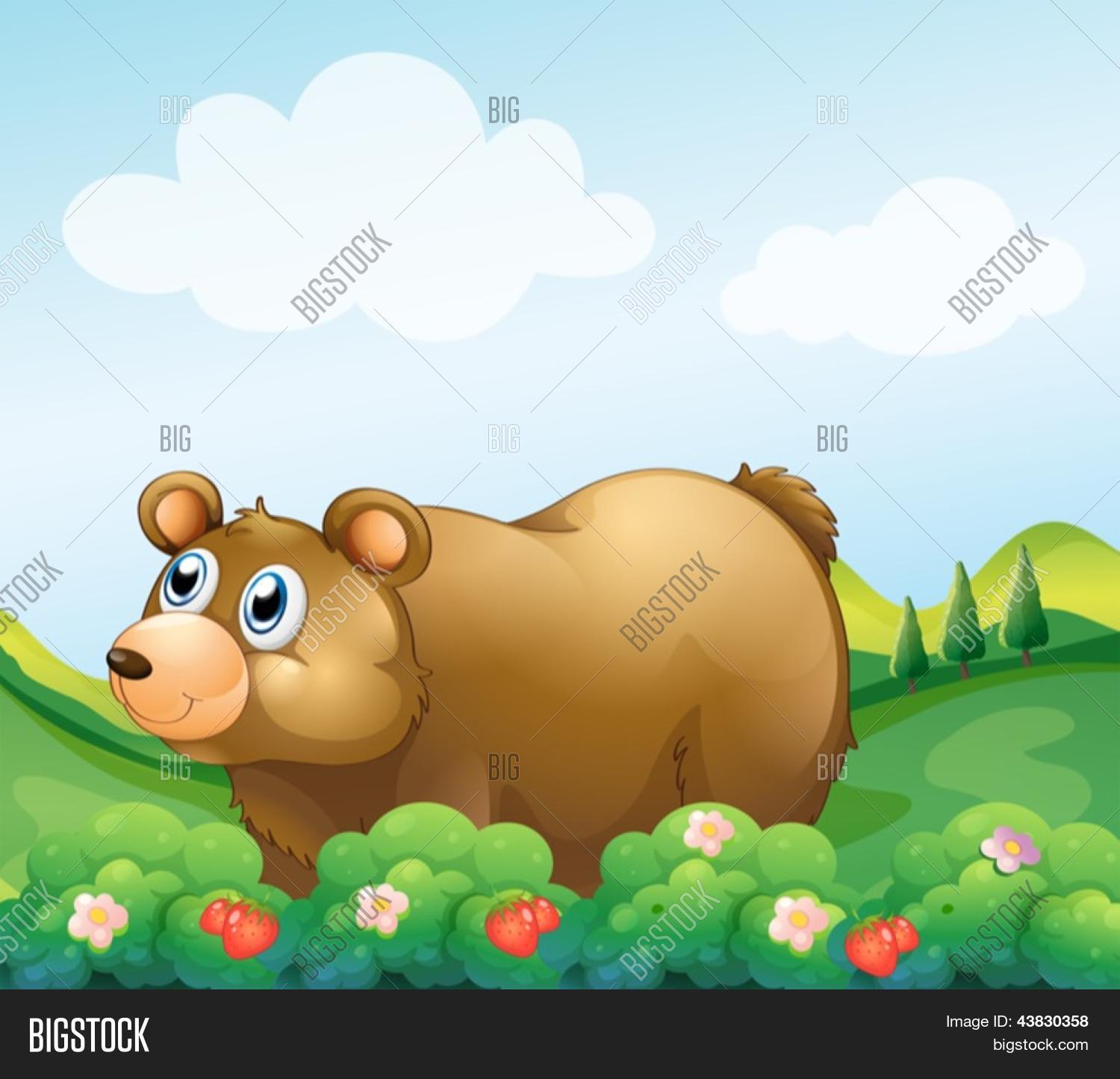 棕色的熊草莓园中的插图 库存矢量图和库存照片 | bigstock