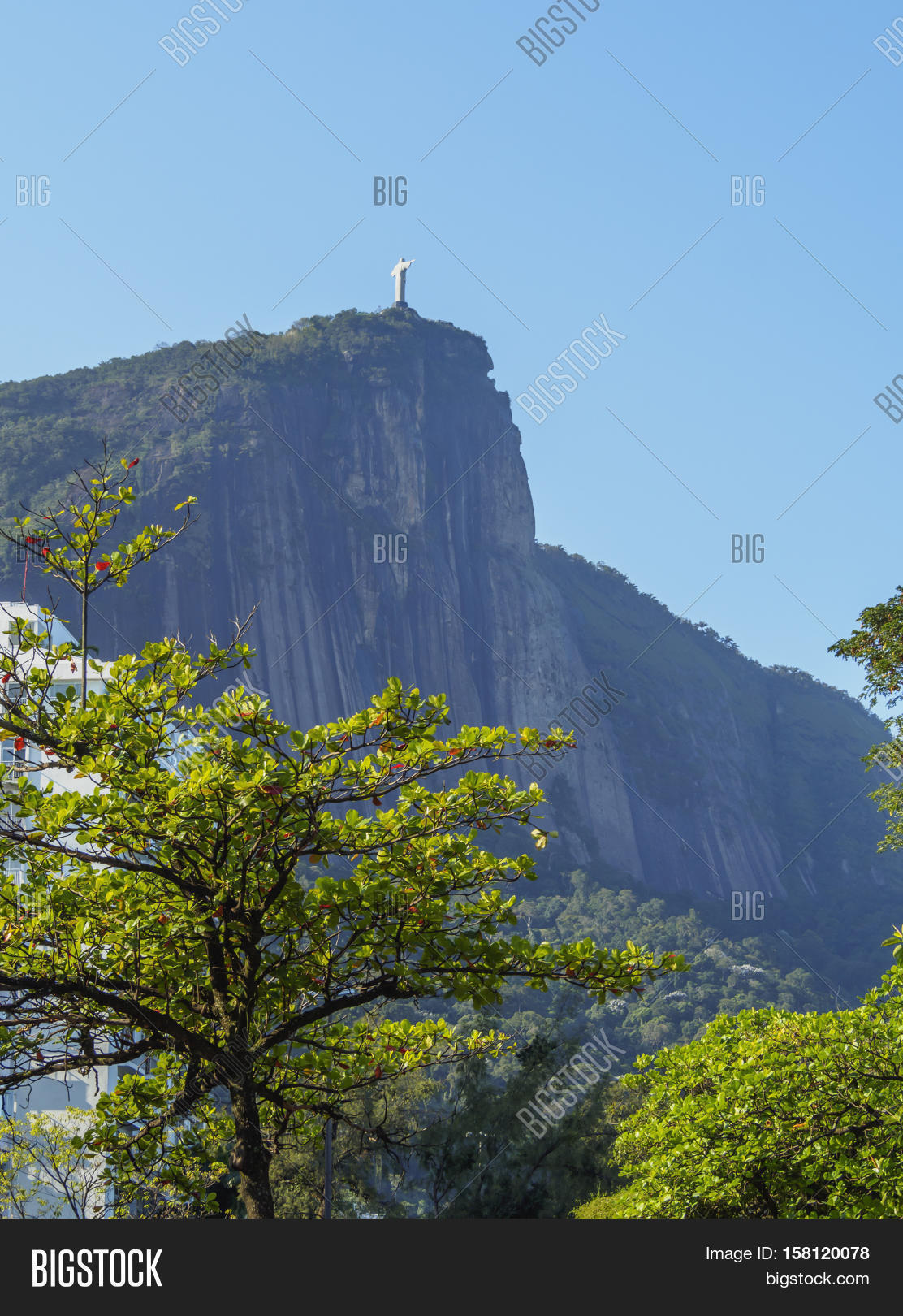corcovado mountain in rio 库存照片和库存图片 | bigstock