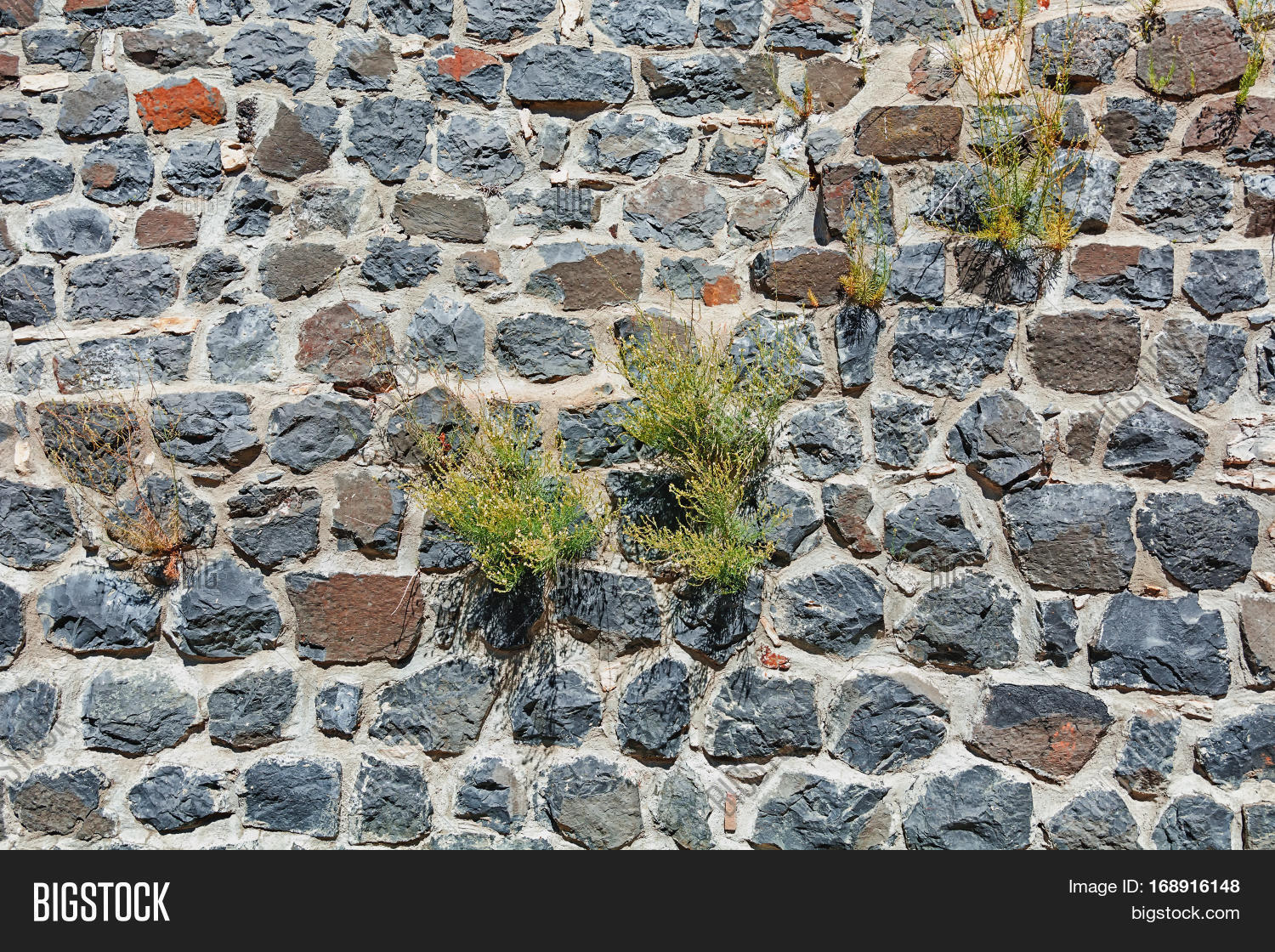 wall of house from basalt with germinated plants in the